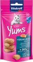 Vitakraft Cat Yums Zalm - Kattensnack - 40 g