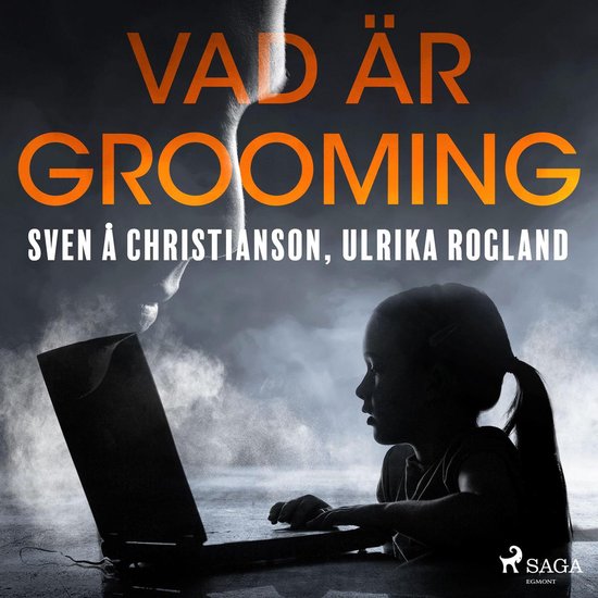 Vad är grooming - cover