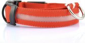 Led Halsband voor honden met led verlichting - Rood - maat S/M/L beschikbaar - maat S (34-41cm)