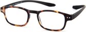 Leesbril Readloop Clan-Havanna 2605-02-+3.00 +3.00