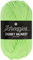 Scheepjes Chunky Monkey- 1316 Pistachio 5x100gr