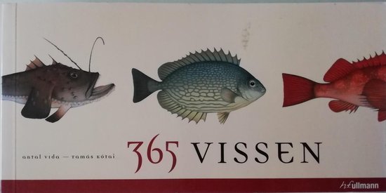 Antal Vida - 365 vissen