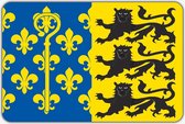 Vlag Overasselt - 200 x 300 cm - Polyester