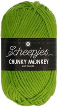 Scheepjes Chunky Monkey- 2016 Fern 5x100gr