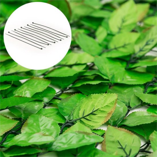 Fency Bright Leaf Afrastering tegen Inkijk en Wind 300 x 100 cm Beuken lichtgroen