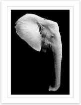 Foto in frame , Olifant , 3 maten , Zwart wit , wanddecoratie , Premium print