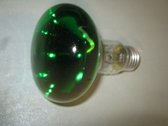 Leuci Zijspiegel R80 Reflectorlamp 60W groen