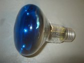 Leuci E27 Zijspiegel R80 Reflectorlamp 60W blauw