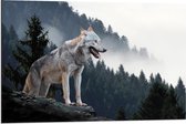 Dibond - Wolf op Rots - 90x60cm Foto op Aluminium (Met Ophangsysteem)