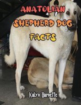 Anatolian Shepherd Dog Facts