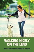 Walking Nicely On The Lead: How To Stop Your Dog Pulling On The Lead