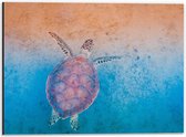 Dibond - Schildpad in de Blauwe Zee - 40x30cm Foto op Aluminium (Wanddecoratie van metaal)