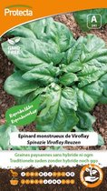 Protecta Groente zaden: Spinazie Viroflay Reuzen