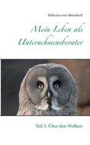 Mein Leben als Unternehmensberater