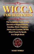 Wicca for Beginners