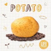Life Cycles- Potato