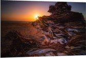 Dibond - Landschap met Zonsondergang - 120x80cm Foto op Aluminium (Wanddecoratie van metaal)