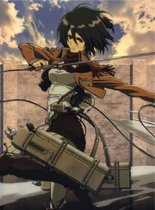 Attack on Titan Mikasa Ackerman Anime Manga Poster 42x30cm