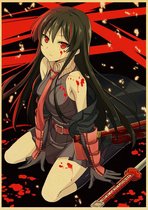 Akame Ga Kill! Akame Red Eyes Anime Vintage Manga Poster 42x30cm