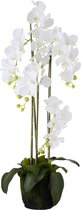 J-Line Kunstplant Orchidee met Pot Wit 116cm