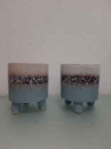 Twee decoratieve bloempotten