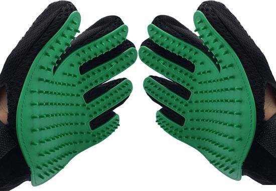 Handschoenborstel