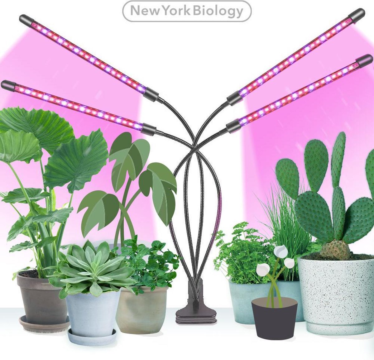 New York Biology™ - Kweeklamp LED Full Spectrum | Groeilamp voor Planten | 40 Watt | Automatisch Timer voor 3-9-12 uur voor beste resultaat - New York Biology