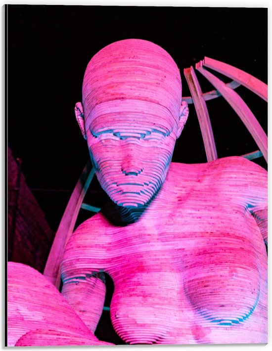 Dibond - Vrouwelijk Lichaam in het Roze - 30x40cm Foto op Aluminium (Met Ophangsysteem)