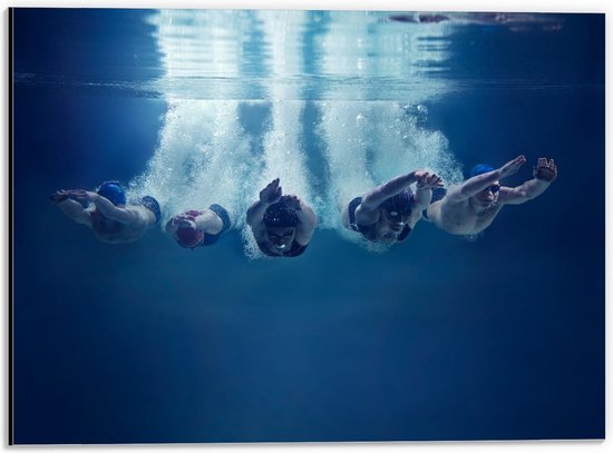 Dibond - Duikers in het Water - 40x30cm Foto op Aluminium (Wanddecoratie van metaal)