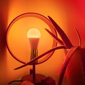 2x WiFi LED Lamp E27 - RGB+CCT Gekleurd en Witlicht - App en Stembediening - 9W Energiezuinig en Duurzaam