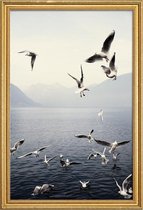 JUNIQE - Poster met houten lijst Meeuwen foto -40x60 /Blauw & Wit