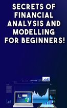 Secrets of Financial Analysis and Modelling For Beginners!