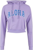 LITTLE PIECES LPALOHA LS CROPPED HOODIE D2D BC MM Meisjes Trui - Maat 122/128