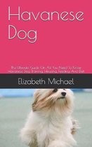 Havanese Dog