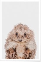 JUNIQE - Poster Hedgehog -60x90 /Bruin