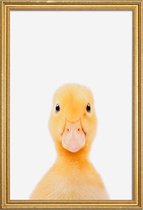 JUNIQE - Poster met houten lijst Duckling -30x45 /Geel