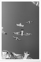 JUNIQE - Poster Soaring Birds -40x60 /Grijs & Wit