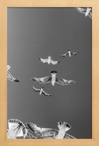JUNIQE - Poster in houten lijst Soaring Birds -60x90 /Grijs & Wit