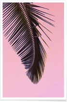 JUNIQE - Poster Tropicana Pink by @BineArnold -40x60 /Grijs & Roze