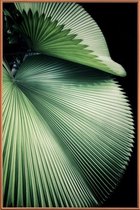 JUNIQE - Poster met kunststof lijst Sharp Palm -60x90 /Groen