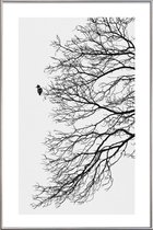 JUNIQE - Poster met kunststof lijst Winter Bird -20x30 /Grijs & Wit