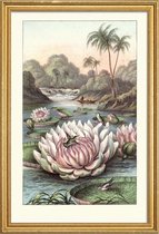 JUNIQE - Poster met houten lijst Water Lily -40x60 /Grijs & Groen