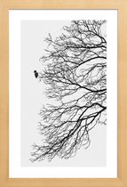 JUNIQE - Poster in houten lijst Winter Bird -60x90 /Grijs & Wit