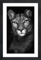 JUNIQE - Poster in houten lijst Lioness -40x60 /Grijs & Zwart