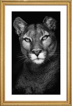 JUNIQE - Poster met houten lijst Lioness -20x30 /Grijs & Zwart