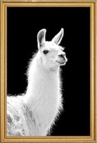 JUNIQE - Poster met houten lijst Llama -30x45 /Wit & Zwart