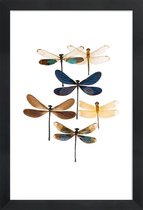 JUNIQE - Poster in houten lijst Libellen -20x30 /Blauw & Bruin