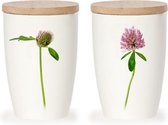 Mok | Rødkløver (Trifolium Pratense)