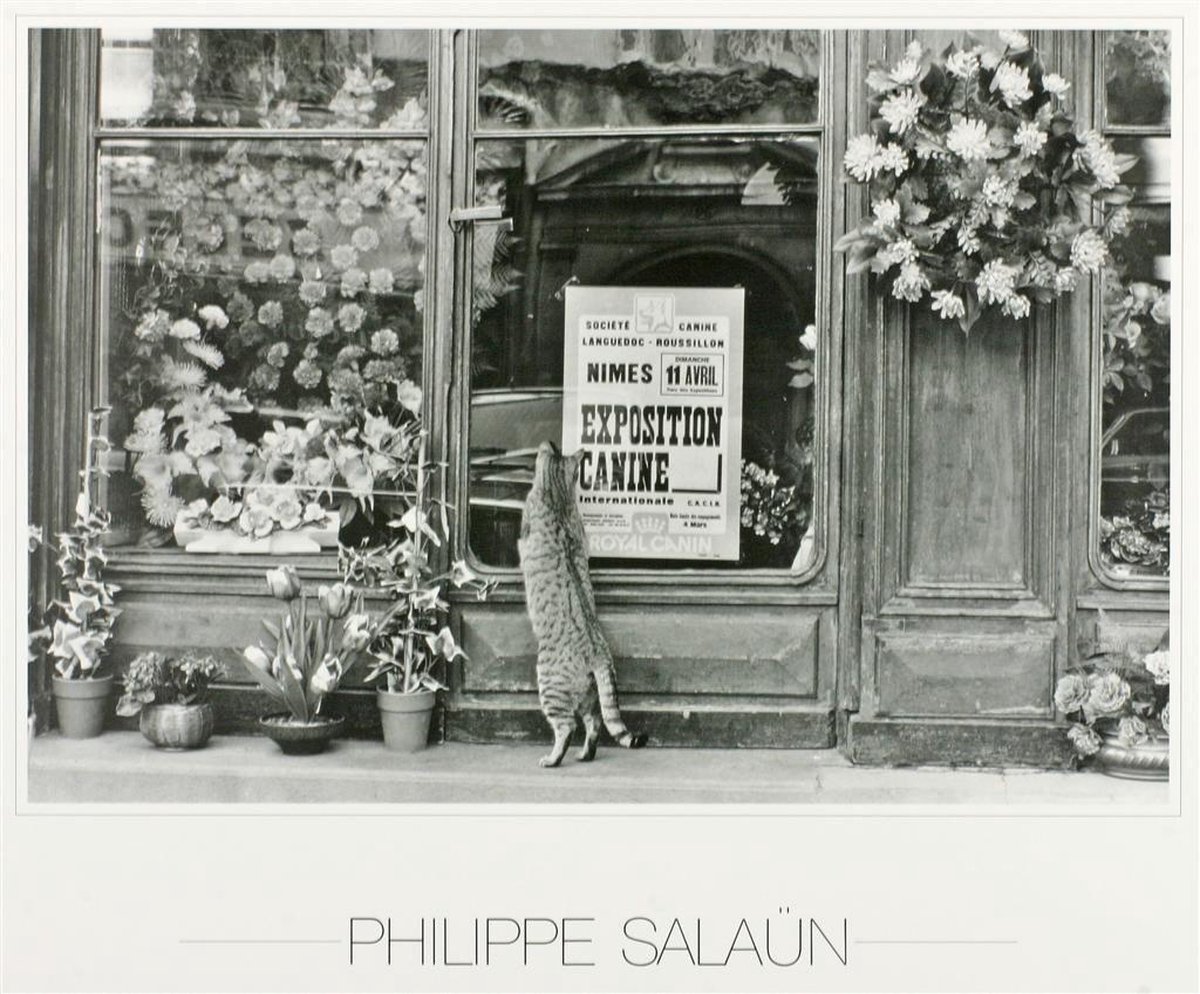 Catch Projecten Poster - Nimes - Philippe Salaun - Zwart/Wit - Fotografie - Jaren 80