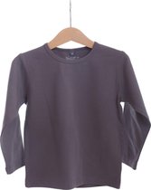 BeeLittle - T-shirt lange mouw - grijs - maat 110